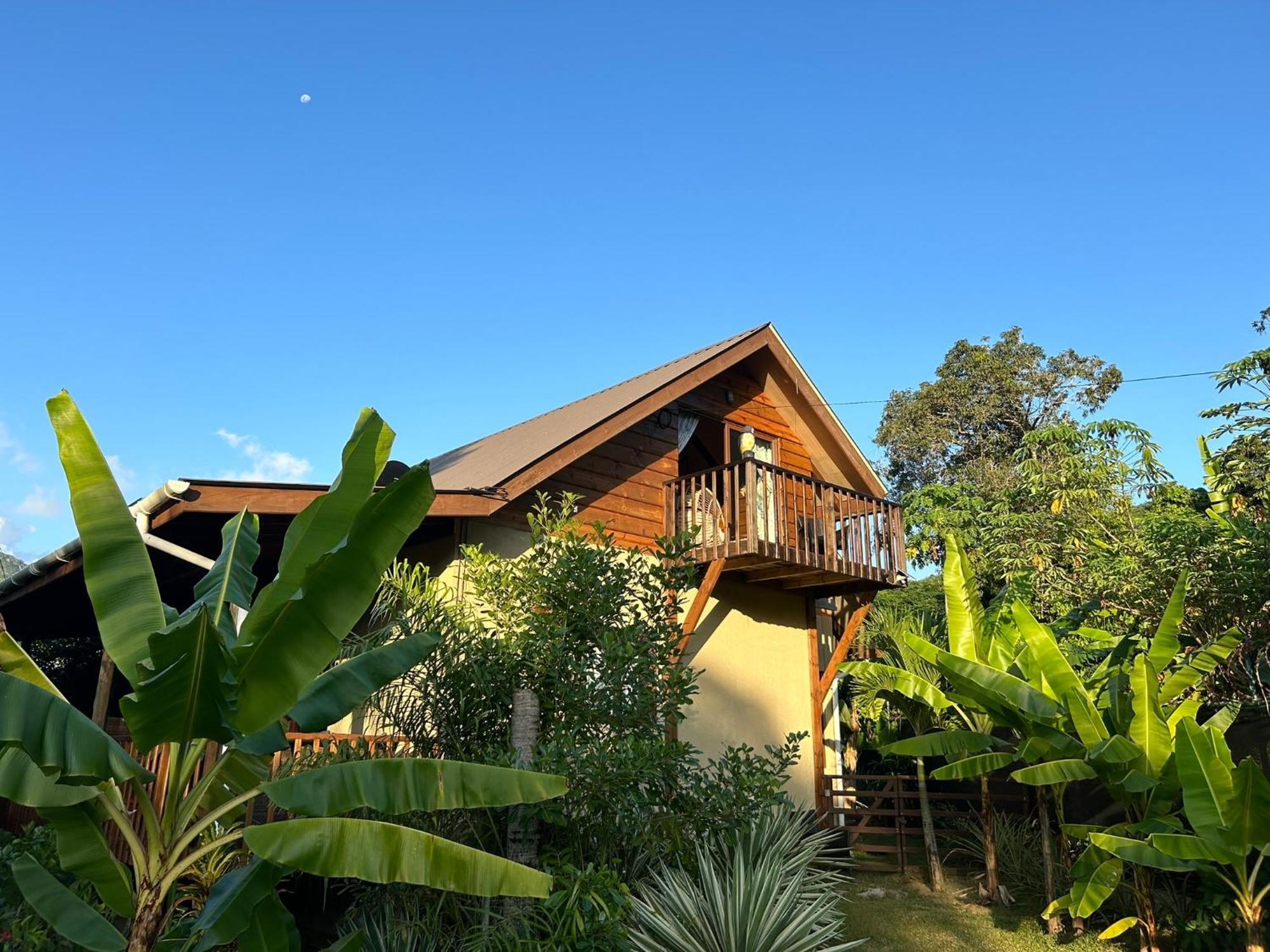 A Peace In Paradise Anse Royale Extérieur photo