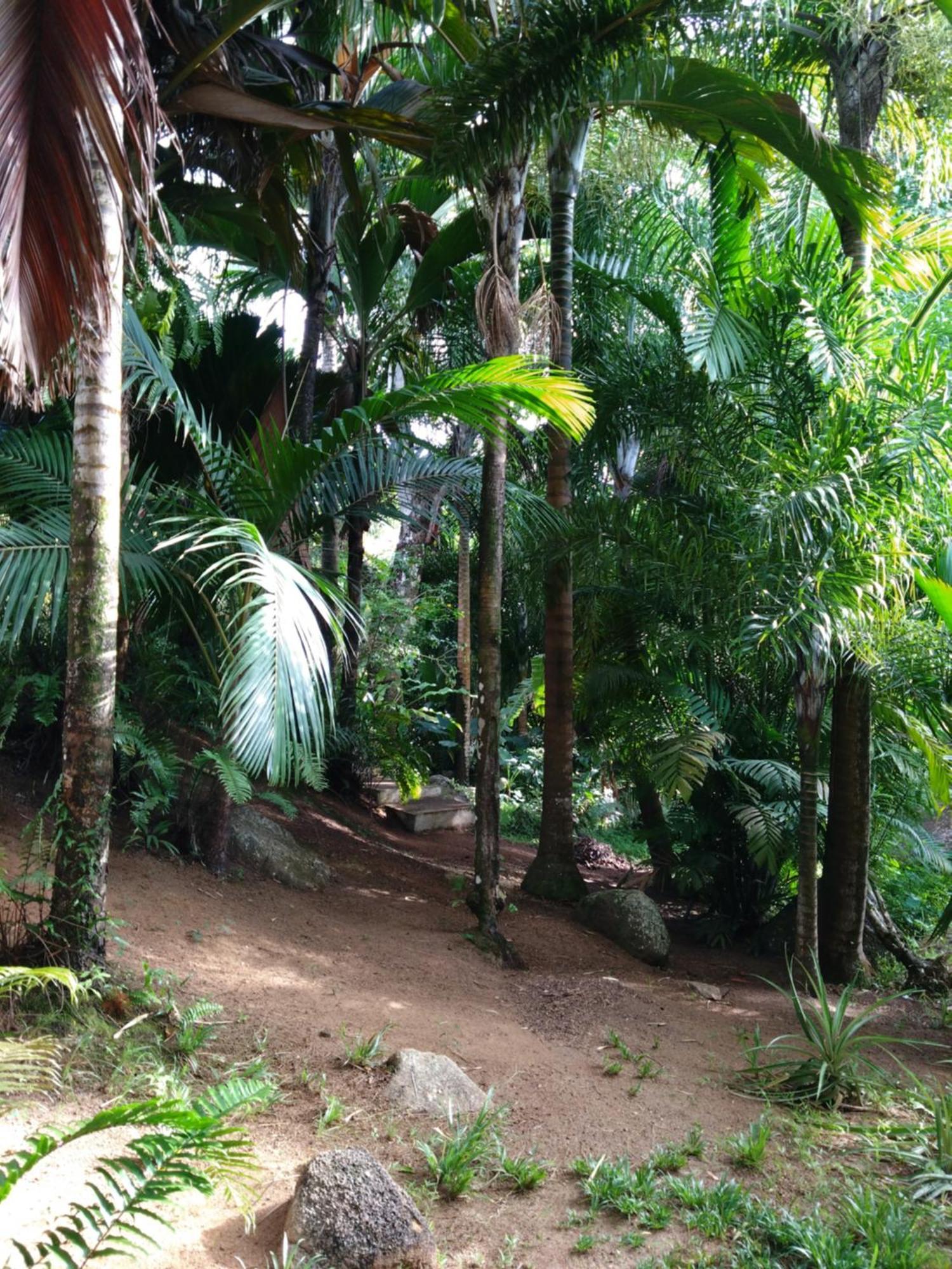 A Peace In Paradise Anse Royale Extérieur photo