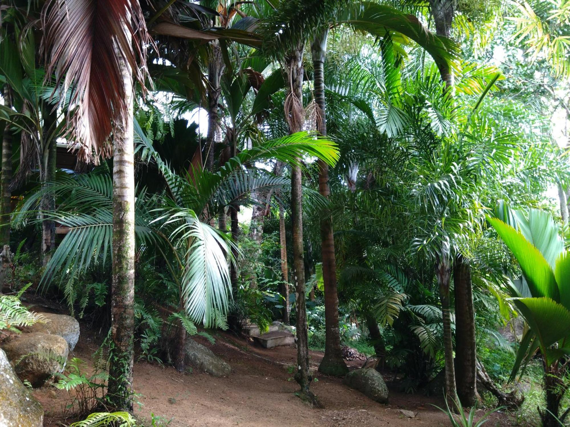 A Peace In Paradise Anse Royale Extérieur photo