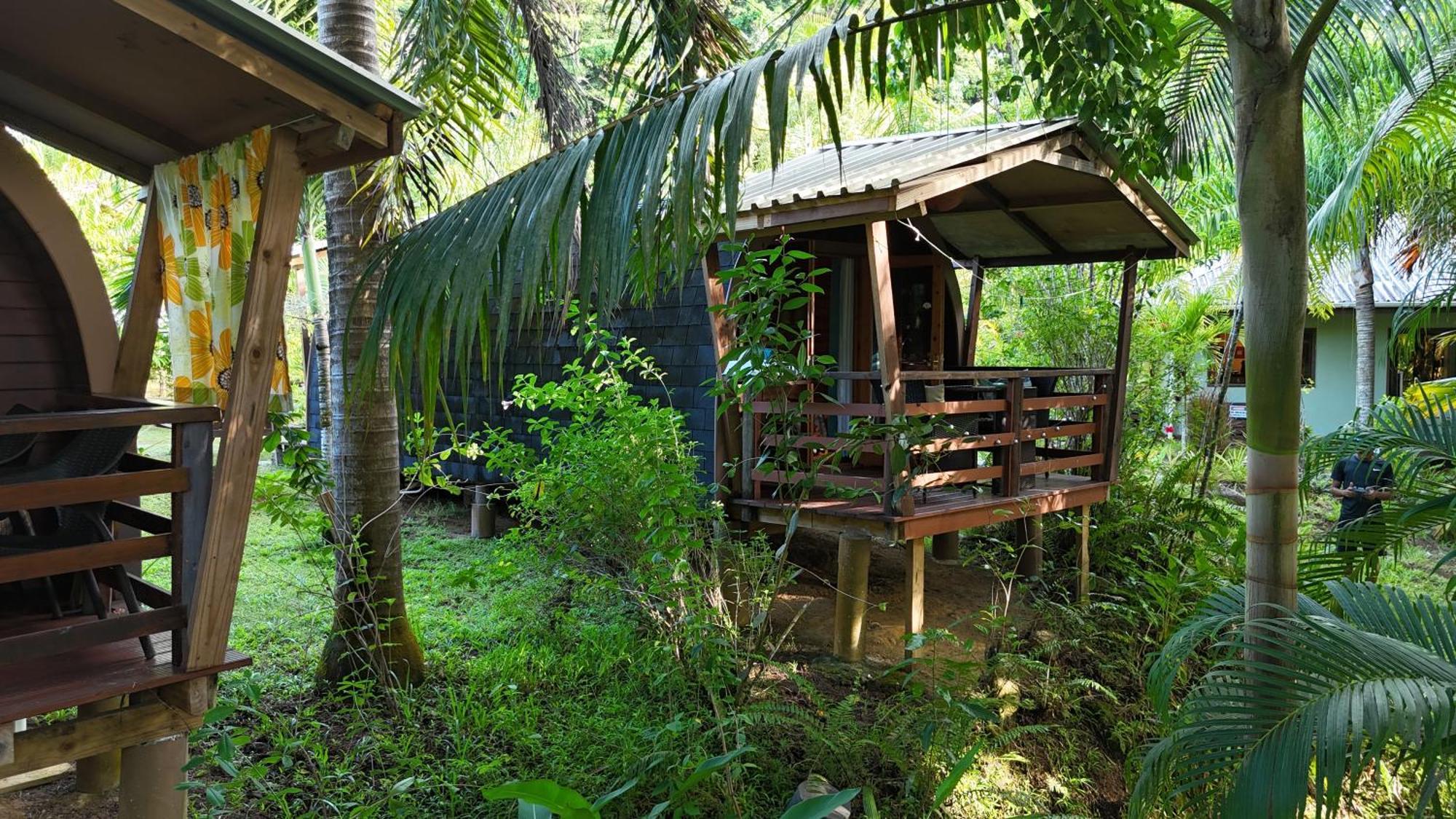 A Peace In Paradise Anse Royale Extérieur photo