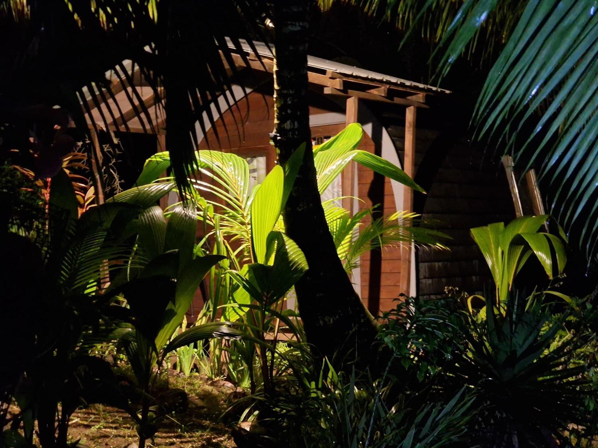 A Peace In Paradise Anse Royale Extérieur photo