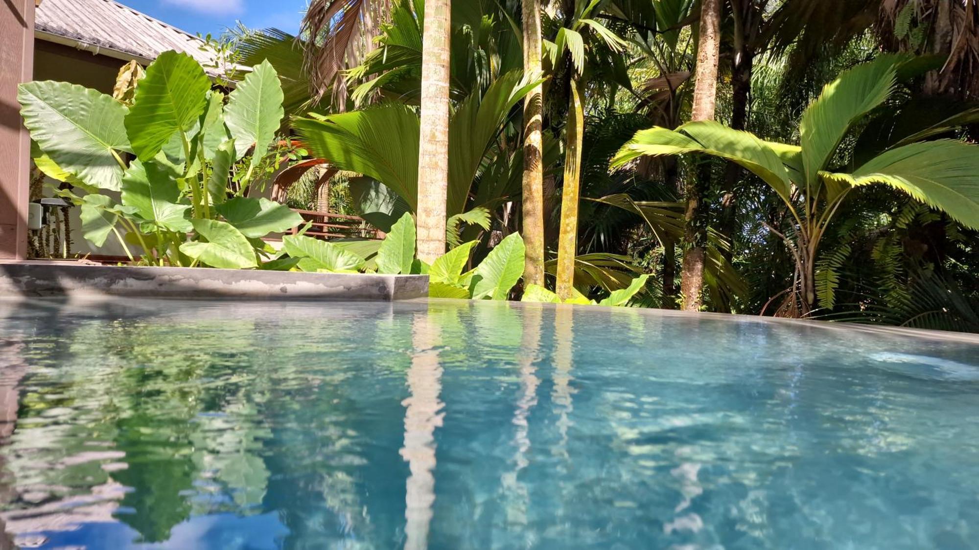 A Peace In Paradise Anse Royale Extérieur photo