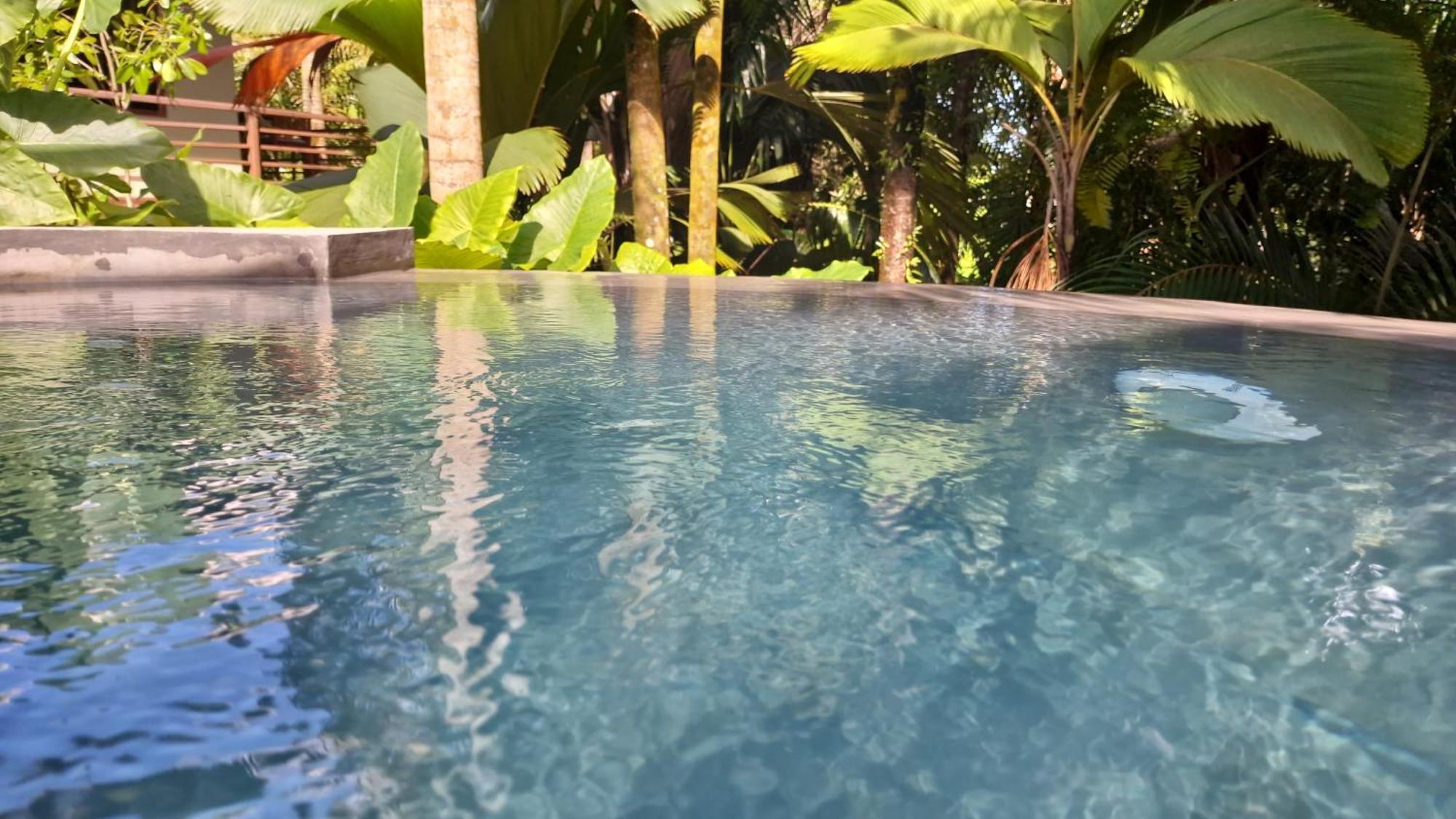 A Peace In Paradise Anse Royale Extérieur photo